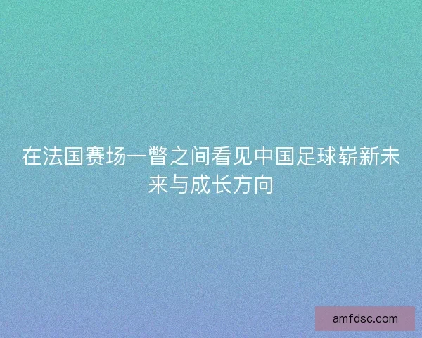 在法国赛场一瞥之间看见中国足球崭新未来与成长方向